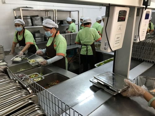 中山市為涉校集體用餐配送單位集中“充電”，筑牢校園食品安全防線
